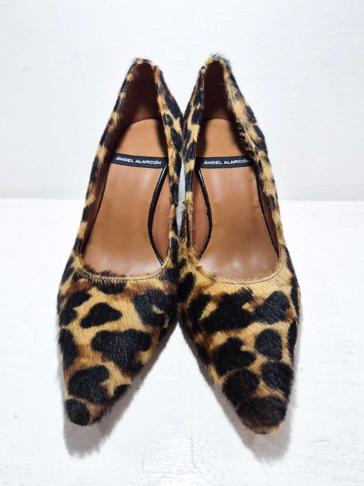 JOANNA LEO - Animalier
