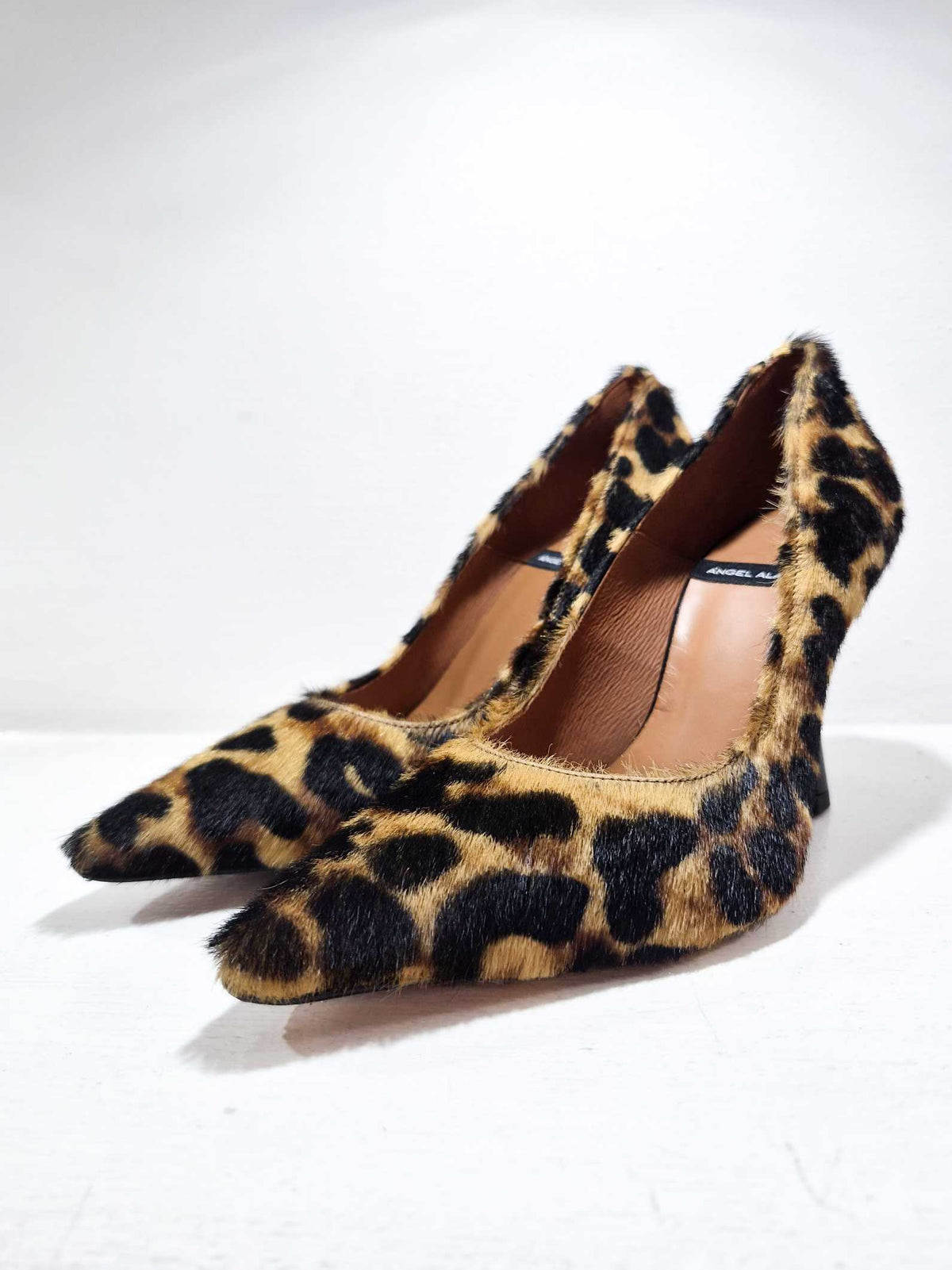 JOANNA LEO - Animalier