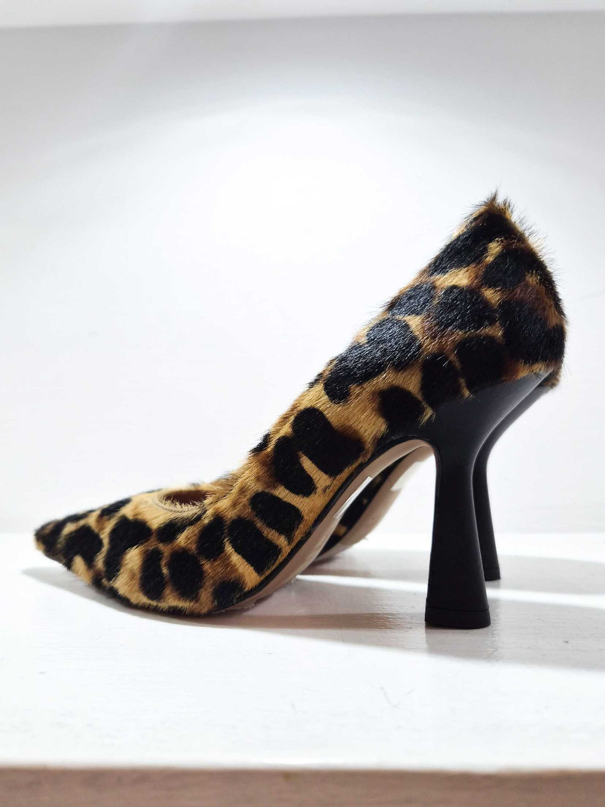 JOANNA LEO - Animalier